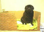 img245.jpg