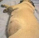 img134.jpg