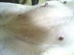 img133.jpg