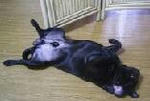 img278.jpg