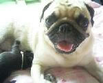 img280.jpg