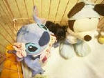 img291.jpg