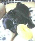 img306.jpg