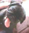 img307.jpg