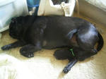 RIMG0035.JPG