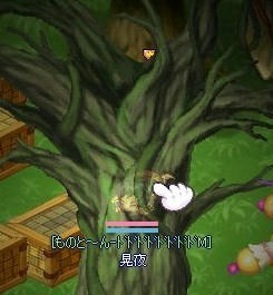 木陰で