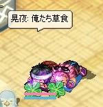 草食動物をいじめないで
