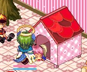 わんこ
