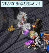 白ライカン