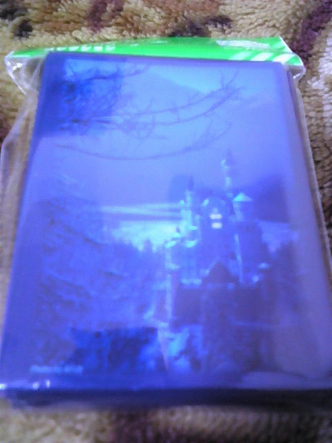 100824_205623.jpg