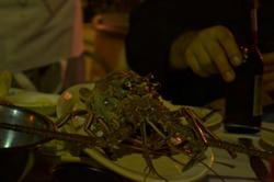 b32140e9.JPG