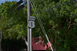 DSC_0629.jpg
