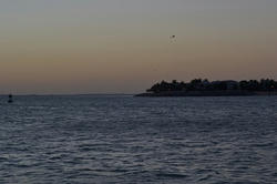DSC_0723.jpg