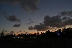 DSC_0910.jpg