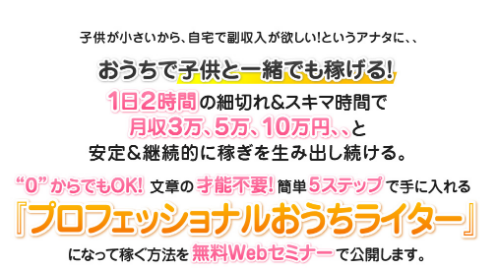 望月麻矢 プロフェッショナルおうちライターは超現実的な稼ぎ方？田中祐一 小林靖彦 評判 内容