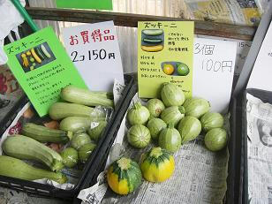 miura5.JPG