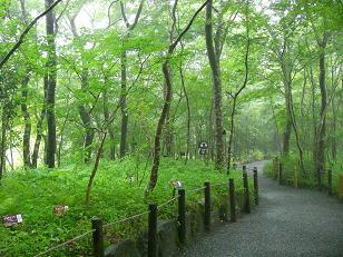 hakone6.JPG