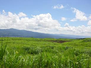 n10.JPG