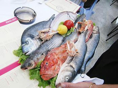 9e9d5d15.JPG