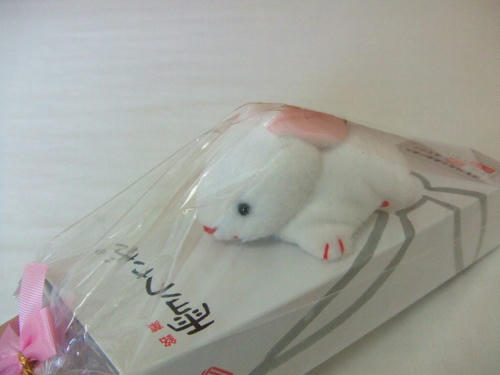 2008_0204_101255.JPG