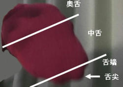 Image1.jpg
