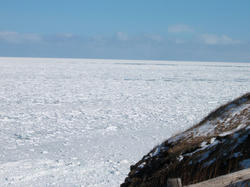 DSCF2571.JPG