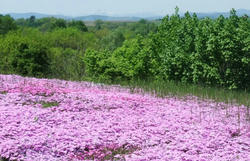 DSCF4673.JPG