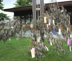 P1000050.jpg
