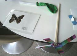 P1000054.jpg