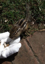 DSCF1207.jpg