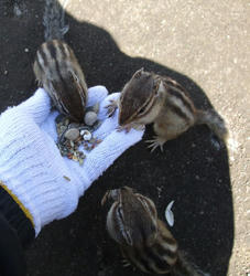 DSCF1210.jpg