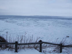 DSCF1616.jpg