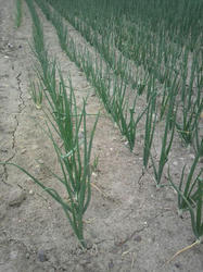 2012061612490000.jpg