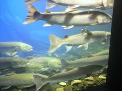 P1000557.JPG