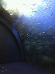 P1000555.JPG