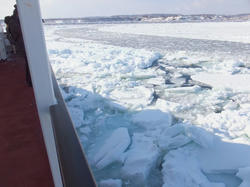 S0361238.jpg