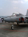 82b21aef.jpg