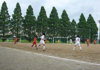 2007070163.jpg