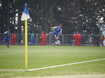 201001245f.jpg