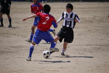 201004251.jpg