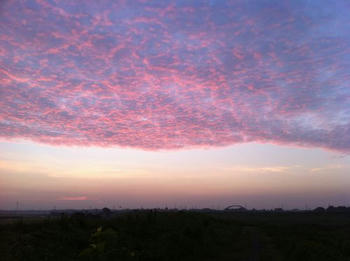 201008081mf.jpg