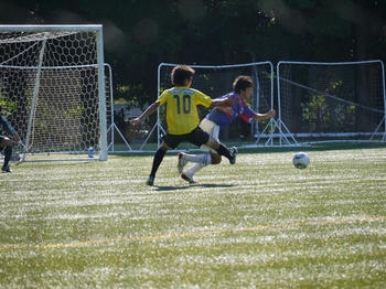 201107162f.jpg