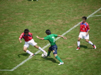 201108075f.jpg