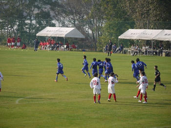 201111036.jpg