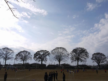 201201022.jpg