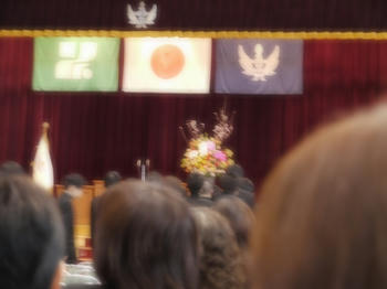 201203011.jpg