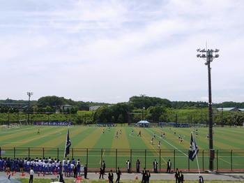 201206171.jpg