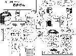 あいに～獣! #072