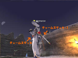 20100210Valentionday.jpg