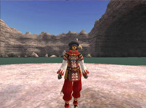 20100214Nashira.jpg